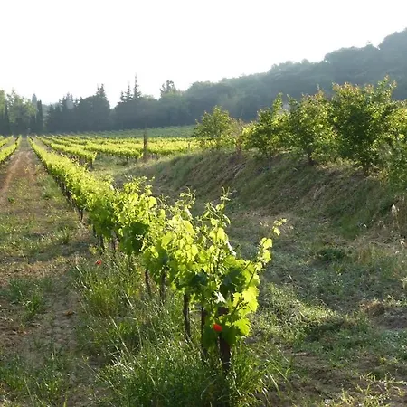 De Caractere Au Calme Au Milieu Des Vignes Avec Piscine Et Jaccuzi 公寓 巴格诺尔斯·苏尔·塞斯