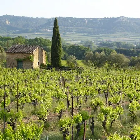 De Caractere Au Calme Au Milieu Des Vignes Avec Piscine Et Jaccuzi * 巴格诺尔斯·苏尔·塞斯