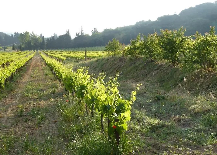 De Caractere Au Calme Au Milieu Des Vignes Avec Piscine Et Jaccuzi アパート バニョル・シュル・セズ