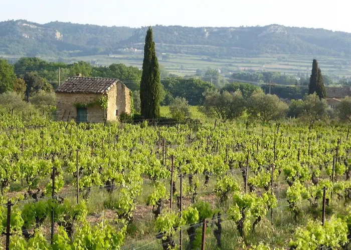 De Caractere Au Calme Au Milieu Des Vignes Avec Piscine Et Jaccuzi * Bagnols-sur-Cèze