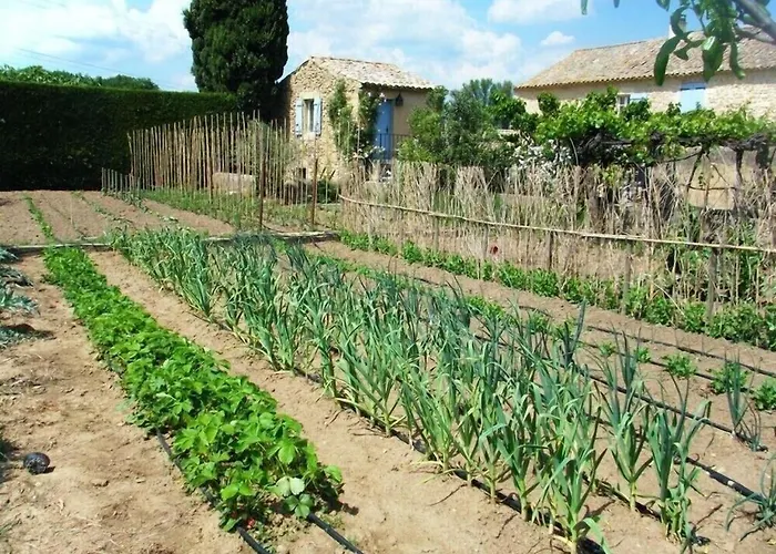 De Caractere Au Calme Au Milieu Des Vignes Avec Piscine Et Jaccuzi アパート *